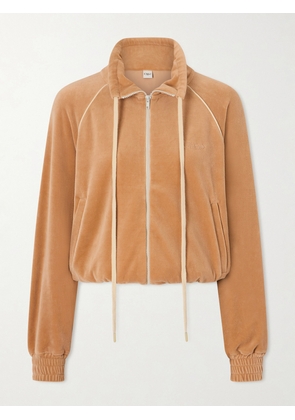 Chloé - Logo-embroidered Cotton-blend Velvet Sweater - Brown - x small,small,medium,large,x large