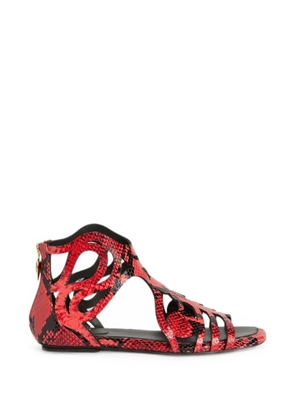 PUCCI low gladiator sandals - Orange