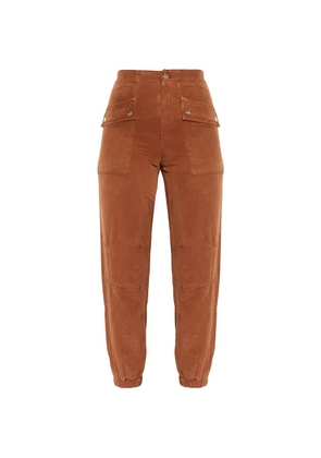 AllSaints Val cargo pants - Brown