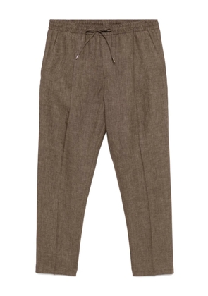 Briglia 1949 Wimbledons trousers - Brown