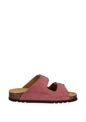 Scholl Noelle suede buckle-fastening sandals - Red