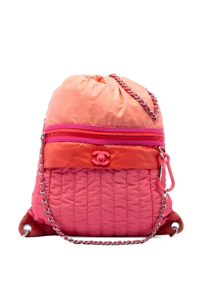 CHANEL Pre-Owned 2019 Large CC Multicolor Vertical Quilted Nylon Coco Neige Convertible backpack - Pink