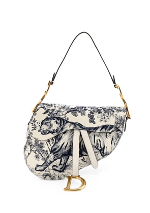 Christian Dior Pre-Owned Toile De Jouy Saddle Bag Embroidered Leather Medium shoulder bag - Blue