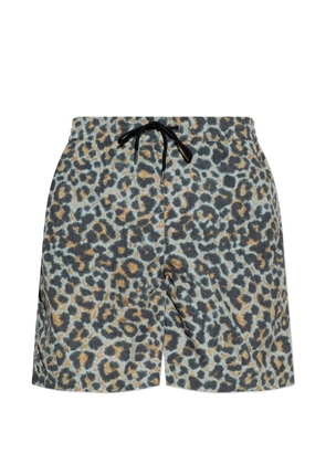 AllSaints Silesia leopard-print swim shorts - Grey