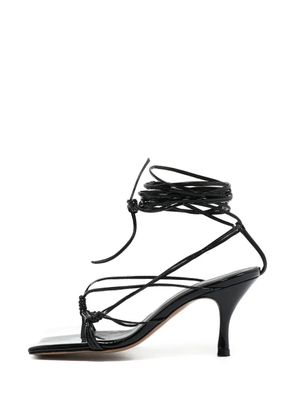 Andrea Wazen Gia ankle-strap leather sandals - Black