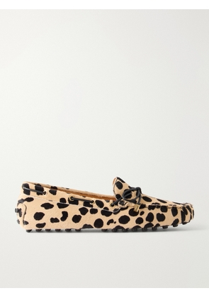 Tod's - Gommino Bow-detail Animal-print Calf-hair Loafers - Animal Print - IT36,IT36.5,IT37,IT37.5,IT38,IT38.5,IT39,IT39.5,IT40,IT40.5,IT41,IT41.5,IT42