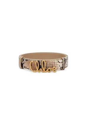 Chloé Iconic small belt