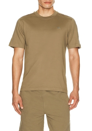 Burberry Seth Check Piping T-Shirt in Finch Brown - Brown. Size M (also in L, XL/1X, XXL/2X).