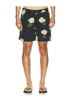 ALLSAINTS Nouvelle Swim Shorts in Black. Size S. Also in M, L, XL/1X.