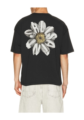 ALLSAINTS Petals Tee in Black. Size S. Also in M, L, XL/1X.