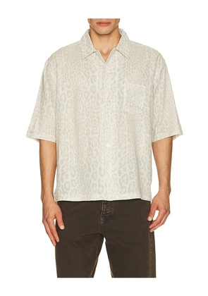 ALLSAINTS Cruz Leo Shirt in Yellow. Size S. Also in M, L, XL/1X.