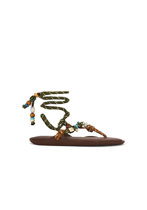 FlÃ²wze x Collanine Colorate FlÃ² Twin Sandal in Chocolate. Size 36. Also in 37, 38, 39, 40, 41.