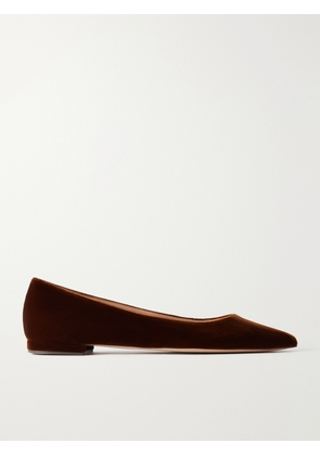 Gianvito Rossi - Gianvito Velvet Ballet Flats - Brown - IT36,IT36.5,IT37,IT37.5,IT38,IT38.5,IT39,IT39.5,IT40,IT40.5,IT41,IT41.5,IT42