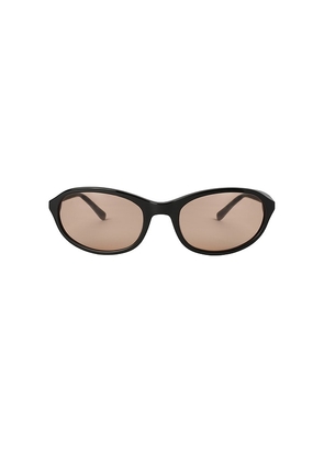 SHEVOKE Kebe Sunglasses in Peach.