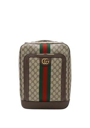 Gucci Pre-Owned 2016-2026 Medium GG Supreme Web Ophidia backpack - Neutrals