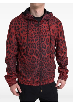 Dolce & Gabbana leopard-print hooded jacket - Red
