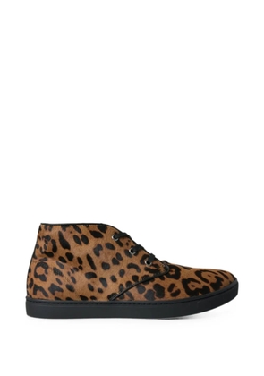 Dolce & Gabbana leopard-print calf hair sneakers - Brown