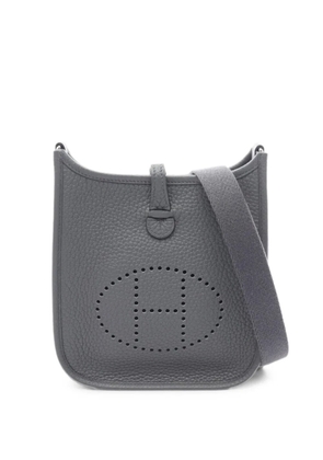Hermès Pre-Owned 2025 TPM Evelyn Amazone shoulder bag - Grey