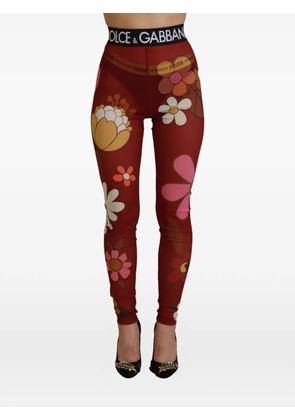 Dolce & Gabbana floral-print mesh leggings - Red