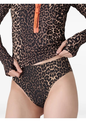 WATSKIN Belle leopard-print bikini bottom - Brown