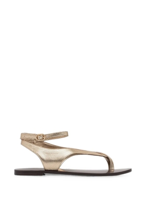 TWINSET tejus-print leather sandals - Gold