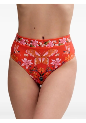 FARM Rio floral-pattern bikini bottoms - Orange