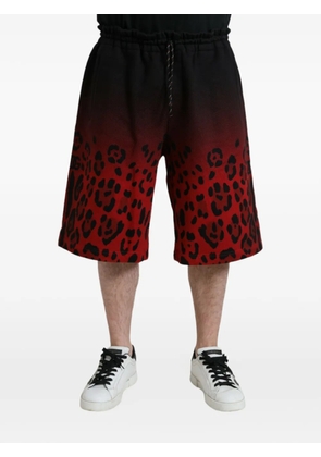 Dolce & Gabbana leopard-print ombré shorts - Black