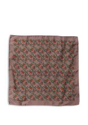 Dolce & Gabbana chili-print silk pocket square - Brown