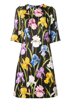 Dolce & Gabbana floral-print jacquard dress - Black