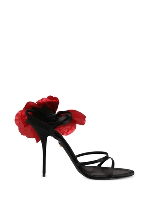 Dolce & Gabbana floral-detail strappy sandals - Black