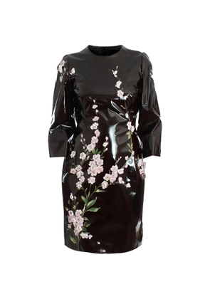 Dolce & Gabbana floral-print patent handpainted dress - Black