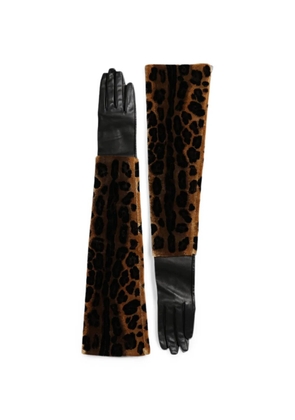 Dolce & Gabbana leopard-print panelled gloves - Neutrals