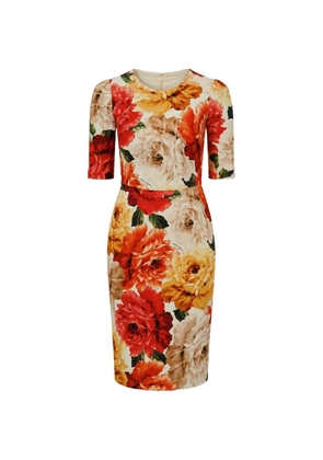 Dolce & Gabbana floral-print sheath midi dress - Red