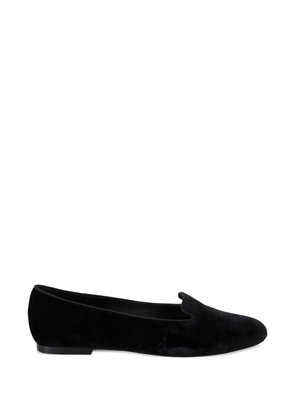 Dolce & Gabbana velvet loafers - Black