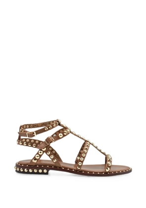 Ash stud-embellished leather sandals - Brown