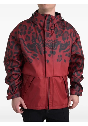Dolce & Gabbana leopard-print tiger-eye jacket - Red