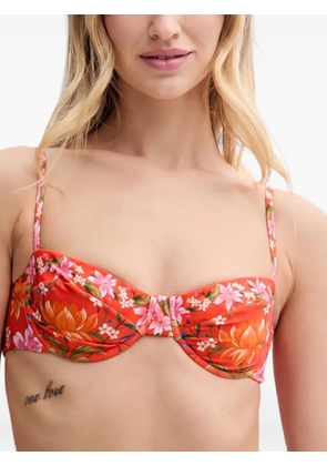 FARM Rio floral-pattern bikini top - Orange