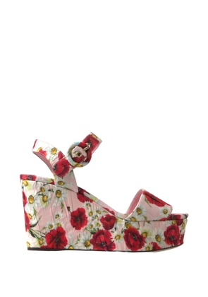 Dolce & Gabbana floral-print wedge sandals - Pink