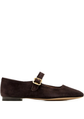 Sam Edelman Michaela ballet flats - Brown