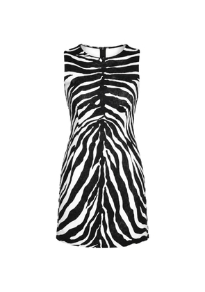 Dolce & Gabbana zebra-print A-line mini dress - Black