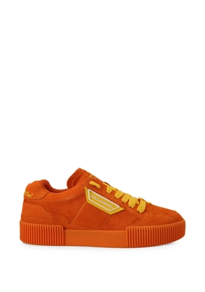 Dolce & Gabbana P.J. Tucker suede sneakers - Orange