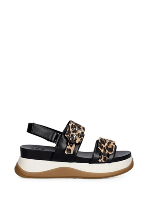 LIU JO leopard-print logo-plaque sandals - Black