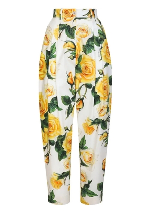 Dolce & Gabbana floral-print tapered trousers - White