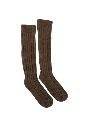 Dolce & Gabbana ribbed-knit socks - Brown