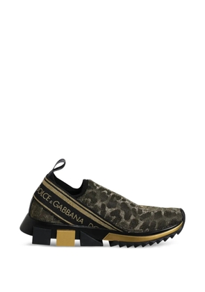 Dolce & Gabbana Sorrento leopard-print sneakers - Gold