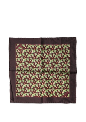 Dolce & Gabbana cactus-print handkerchief - Brown
