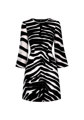 Dolce & Gabbana zebra-print A-line mini dress - Black