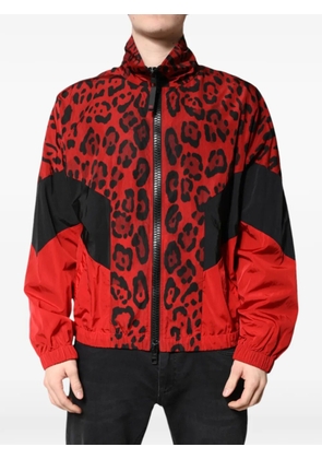 Dolce & Gabbana leopard-print bomber jacket - Red
