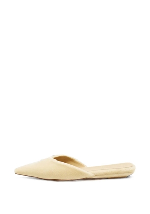 Bottega Veneta Pre-Owned pointed-toe velvet mules - Neutrals