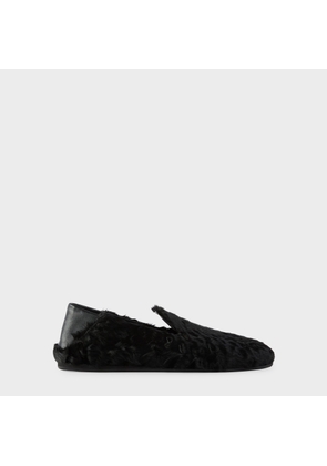 Giuseppe Zanotti TOULUSE
